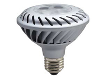 LED Energy Smart PAR30